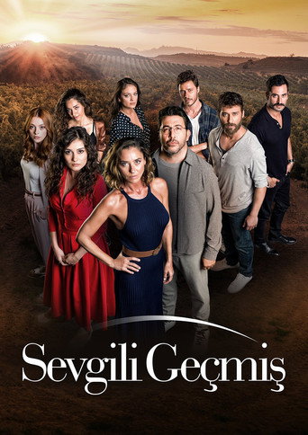 Sevgili Geçmiş (2019) poster