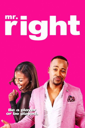 Mr. Right (2015) poster