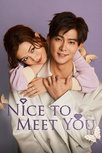 Nice To Meet You (2019) poster
