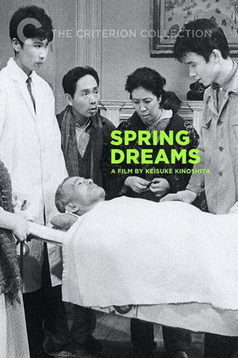 Spring Dreams (1960) poster