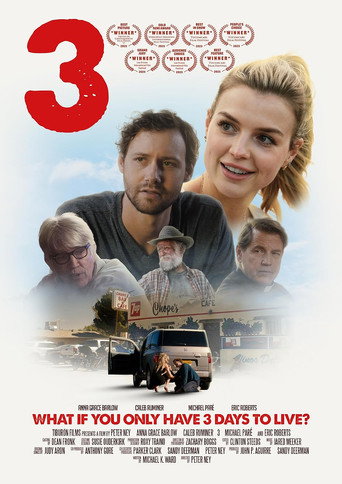 3 (2025) poster