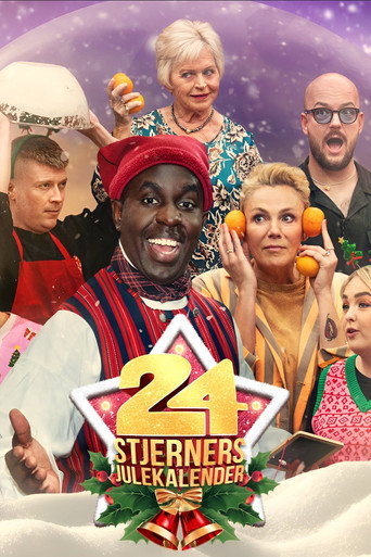 24 stjerners julekalender (2024) poster