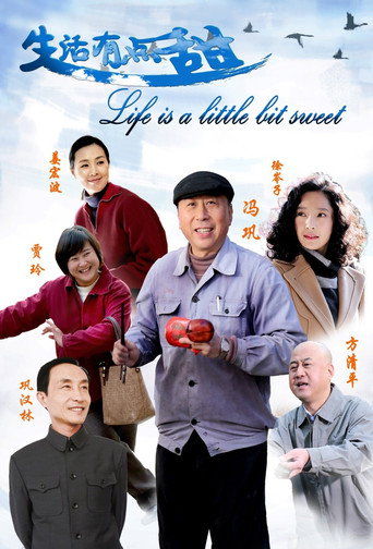 生活有点甜 (2016) poster