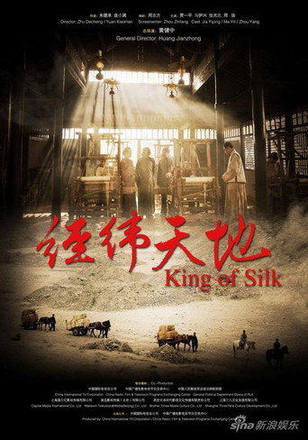 经纬天地 (2010) poster