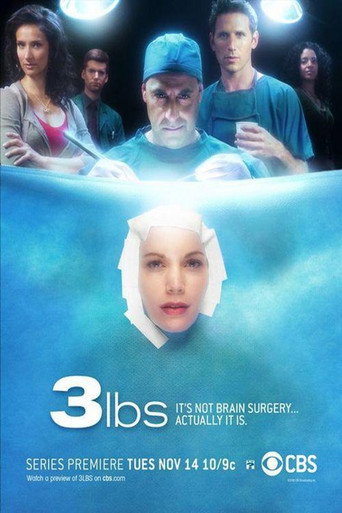 3 lbs (2006) poster