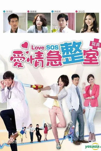 Love SOS (2013) poster