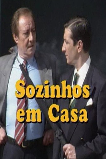 Sozinhos em Casa (1993) poster