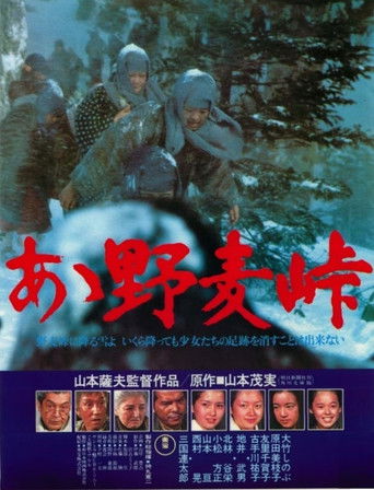 Nomugi Pass (1979) poster