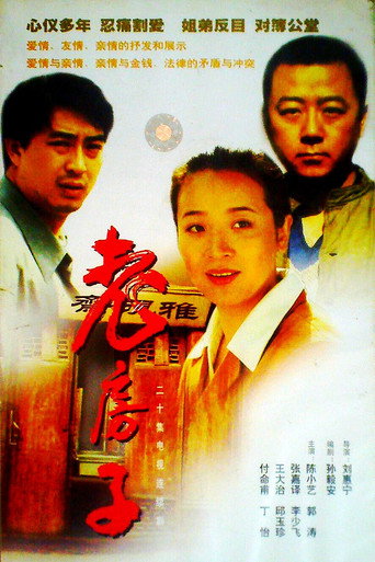 老房子 (1997) poster