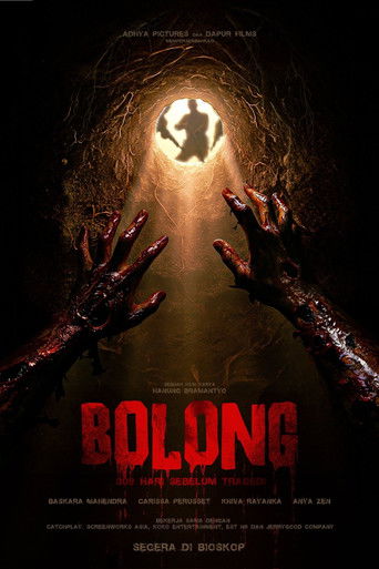 The Hole, 309 Days to the Bloodiest Tragedy (2026) poster