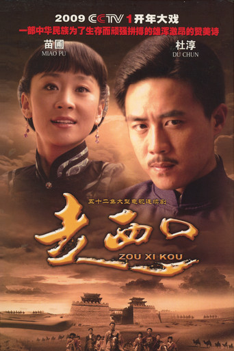 走西口 (2009) poster