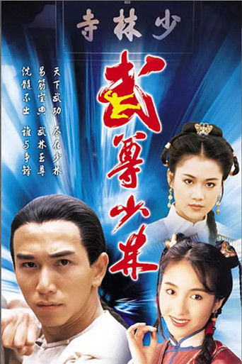 The Heroes From Shaolin (1993) poster