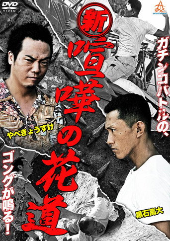 New Brawler's Way (2013) poster