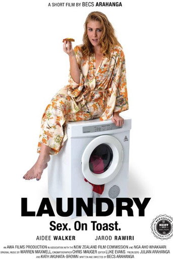 Laundry (2017) poster