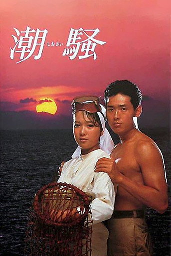 The Sound of the Waves (1985) poster