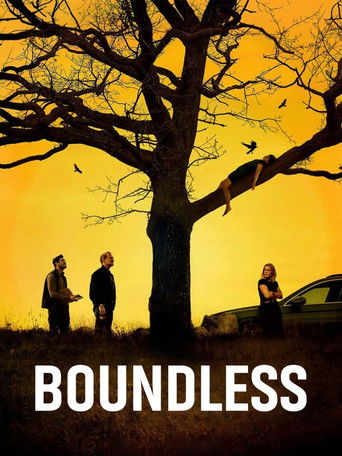 Boundless (2024) poster