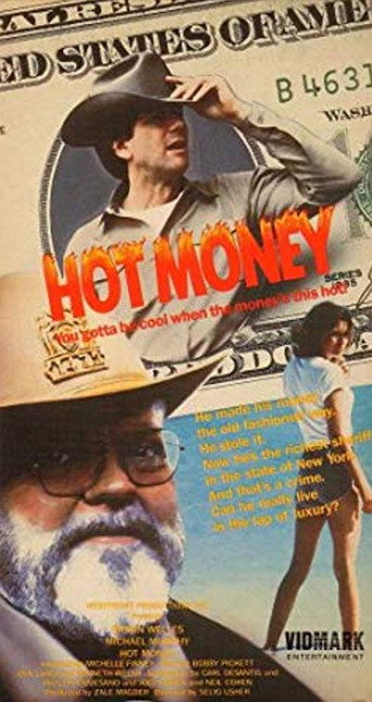 Hot Money (1983) poster