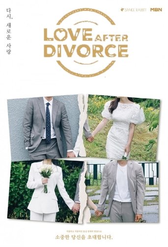 Love After Divorce (2021) poster