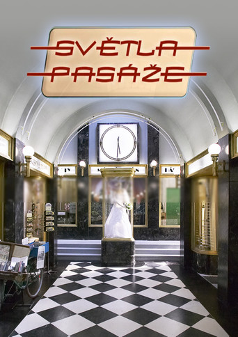 Světla pasáže (2007) poster