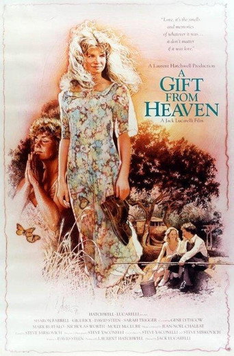 A Gift from Heaven (1994) poster
