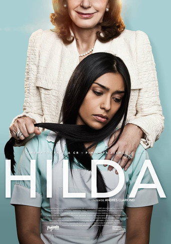 I've Never Had A Hilda (2014) poster