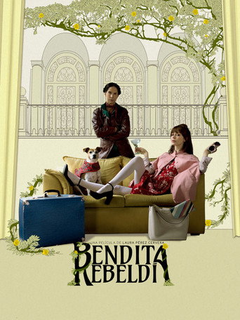 Accidental Blessings (2020) poster