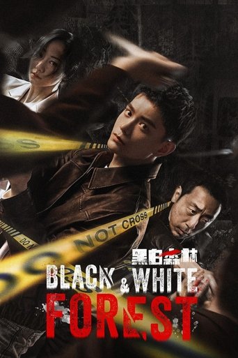 Black & White Forest (2024) poster
