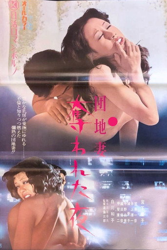 Apartment Wife: Night of the Rape (1973) poster