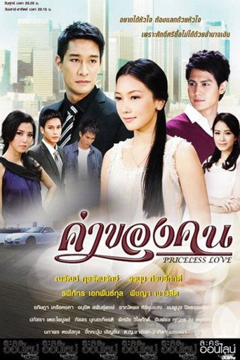 Priceless Love (2011) poster