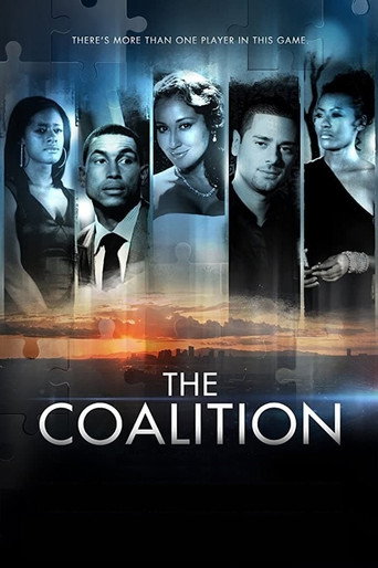 The Coalition (2013) poster