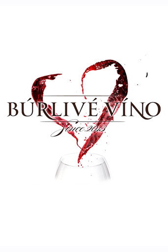 Búrlivé víno (2013) poster