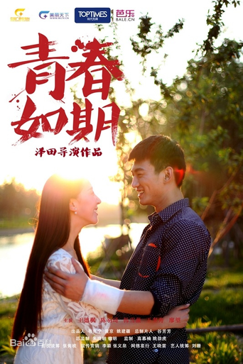 Youth on Schedule (2013) poster