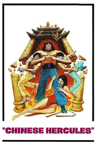 Freedom Strikes a Blow (1973) poster