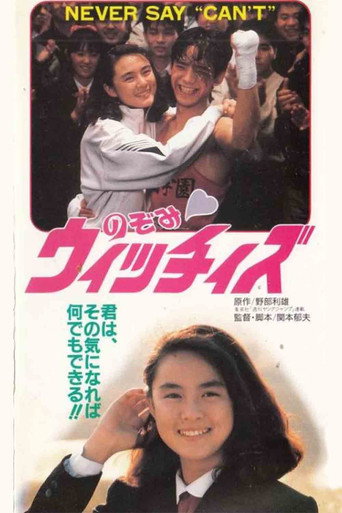 Nozomi Witches (1990) poster