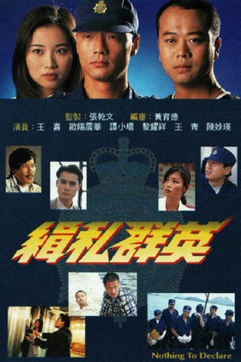 Nothing to Declare (1996) poster