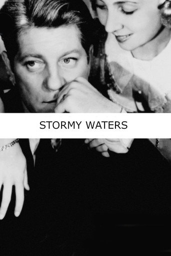 Stormy Waters (1941) poster