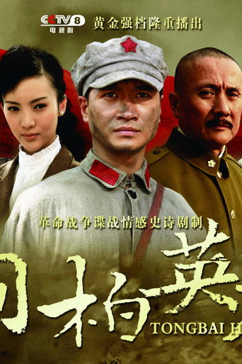 桐柏英雄 (2013) poster
