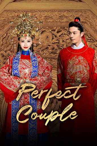 Perfect Couple (2014) poster