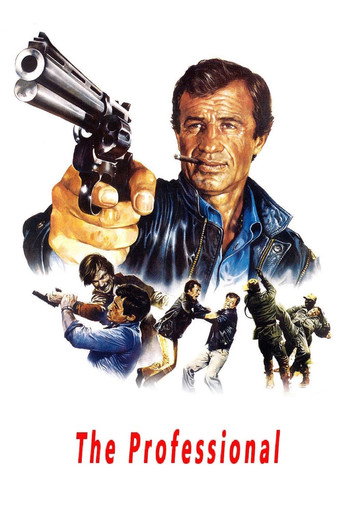 The Professional (1981) poster
