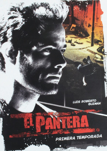 El Pantera (2007) poster