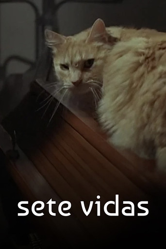 Sete Vidas (2007) poster