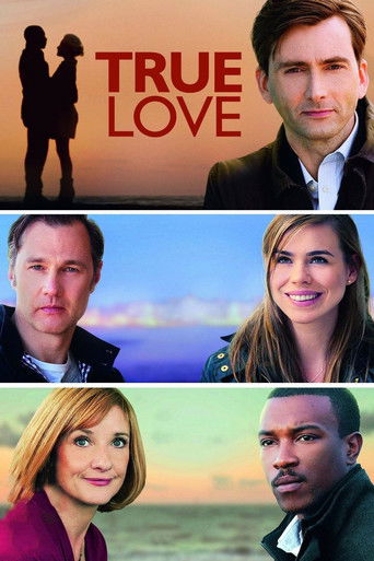 True Love (2012) poster