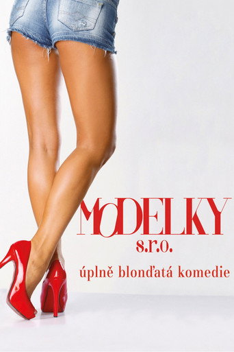 Modelky s.r.o. (2014) poster