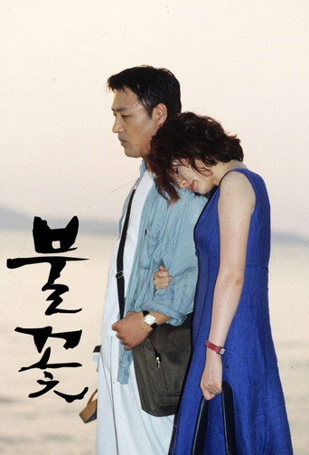Fireworks (2000) poster