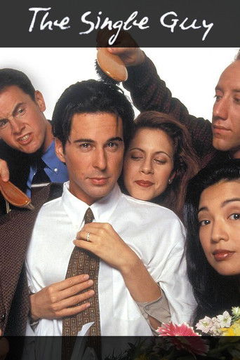 The Single Guy (1995) poster