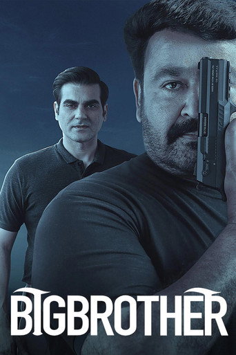 Big Brother (2020) poster