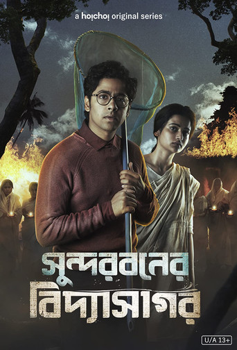Sundarbaner Vidyasagar (2022) poster