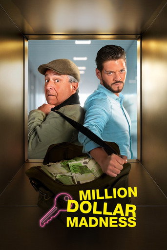 Million Dollar Madness (2025) poster