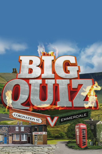 The Big Quiz (2011) poster