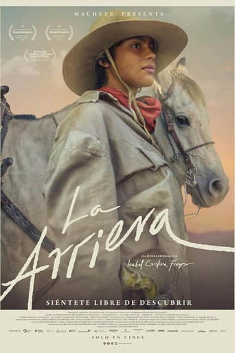 The Muleteer (2025) poster